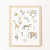 Illustrated Animal Poster